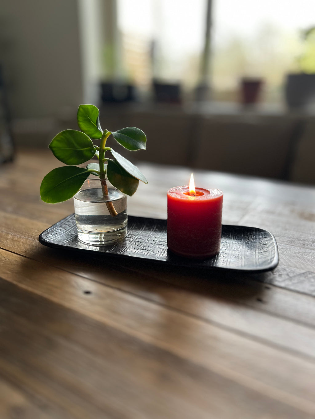 Fat Eldorado, Svart/Brun