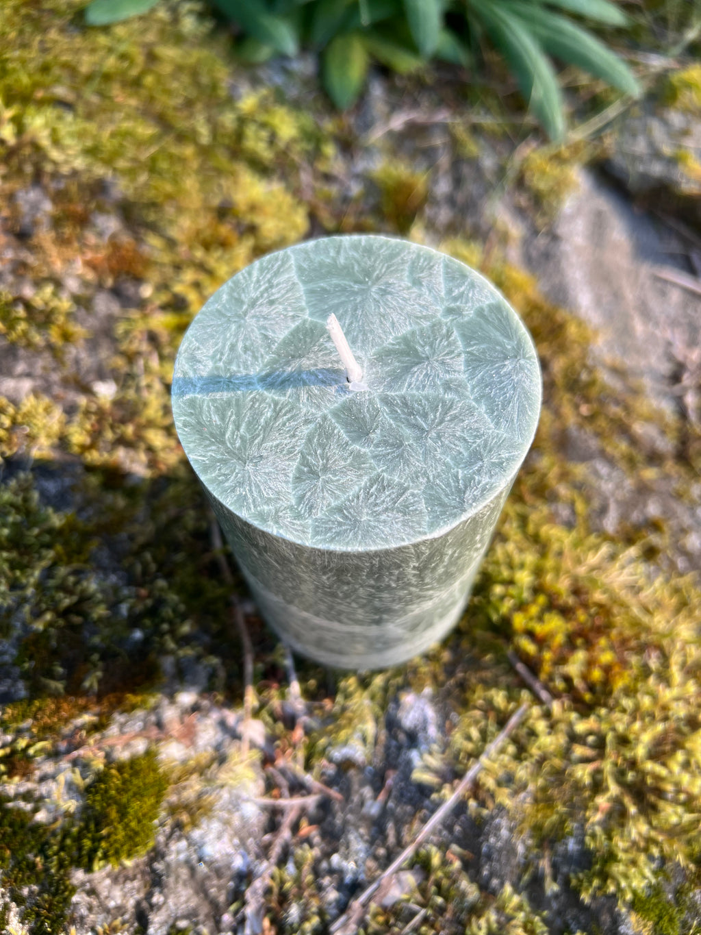 Blockljus Shea (Plant-Based) Liljeholmen, Gran