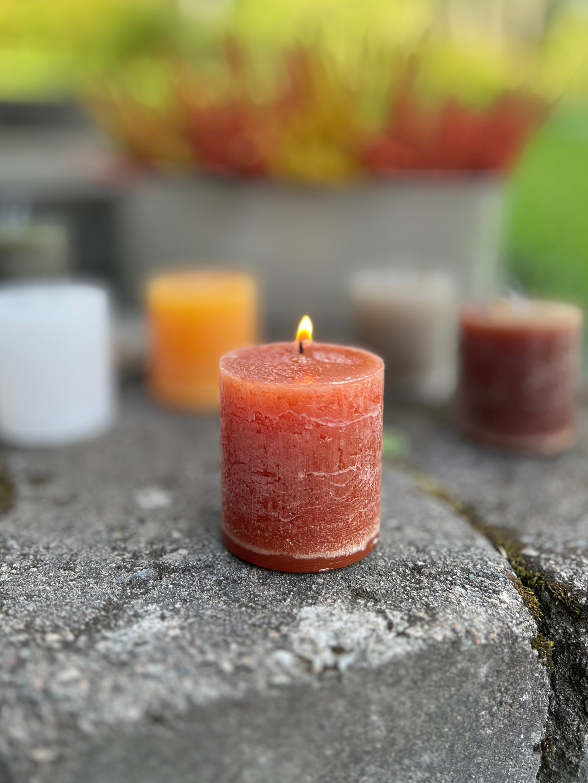 Blockljus Cote Nord, Kola