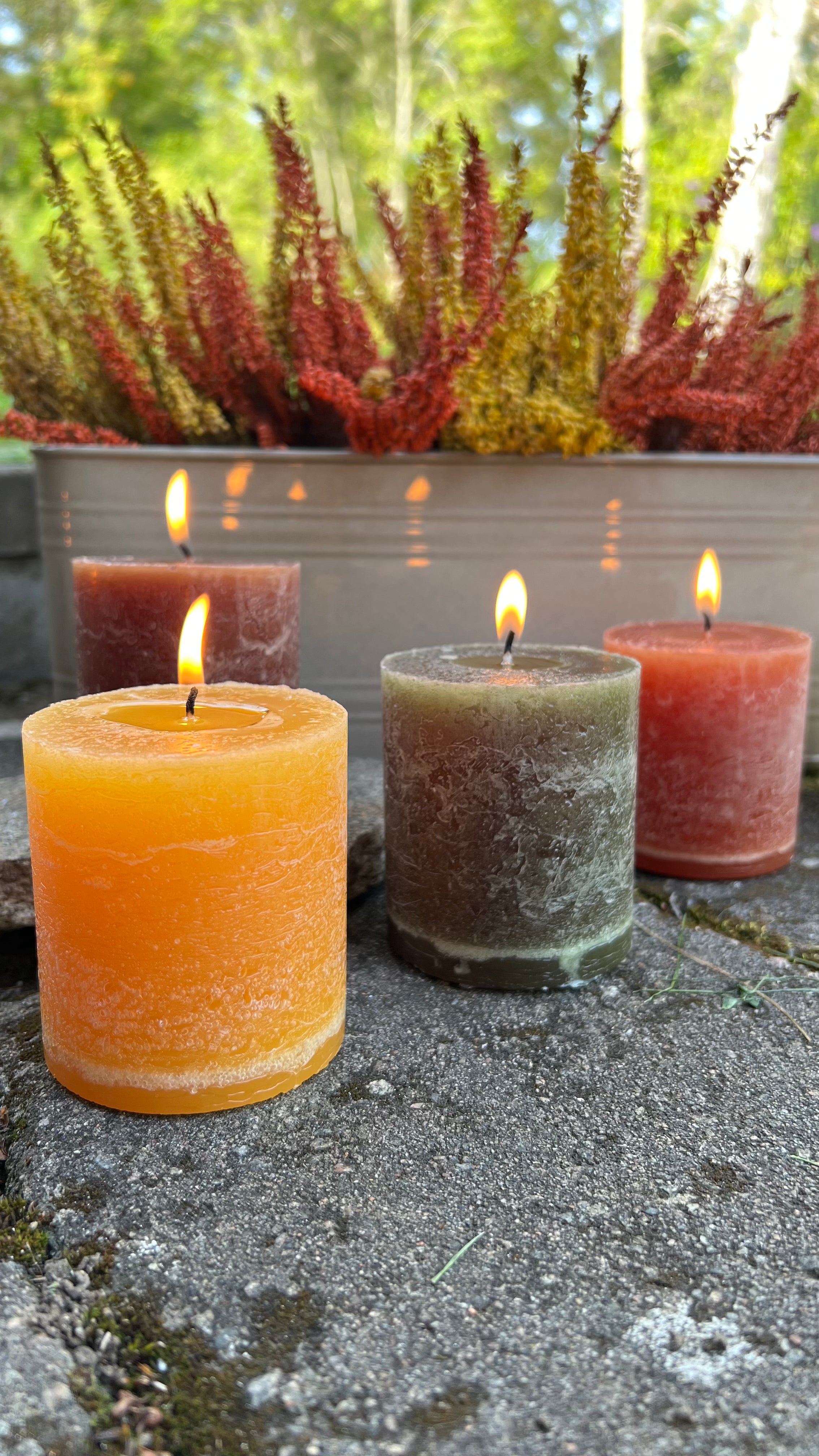 Blockljus Cote Nord, Ocra